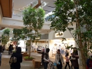 西宮ＳＣ100405010.JPG