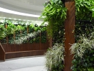 梅田Ｂ通路120119003.JPG