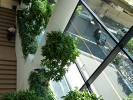 新大阪阪急ビル120730001.JPG
