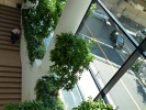 新大阪阪急ビル120730001.JPG