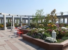 大阪市大201404253.JPG